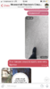 4FD785BD-36A3-4627-A5FD-70E1DAD76CC0.png 4FD785BD-36A3-4627-A5FD-70E1DAD76CC0.png