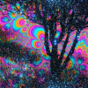 D176D1E4-F75C-465D-ADE4-EFD7C6D22581.png