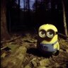 Wolonter_120