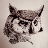 BIO_OWL
