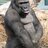 Monkey_man