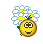 Vishenka 33 T511055 T511055